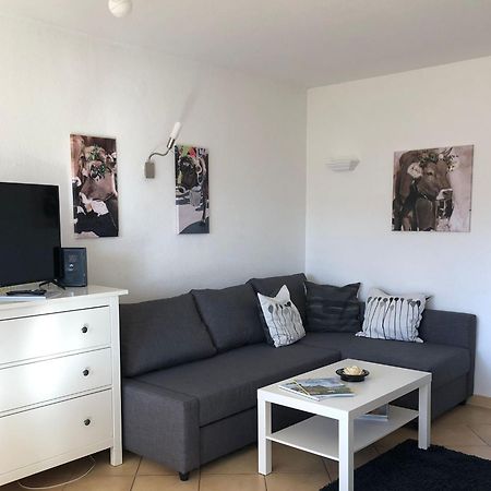 Ferienwohnung Aigisblick Mit Pool Und Sauna, Direkt Am Skihang Мисен-Вилхамс Екстериор снимка