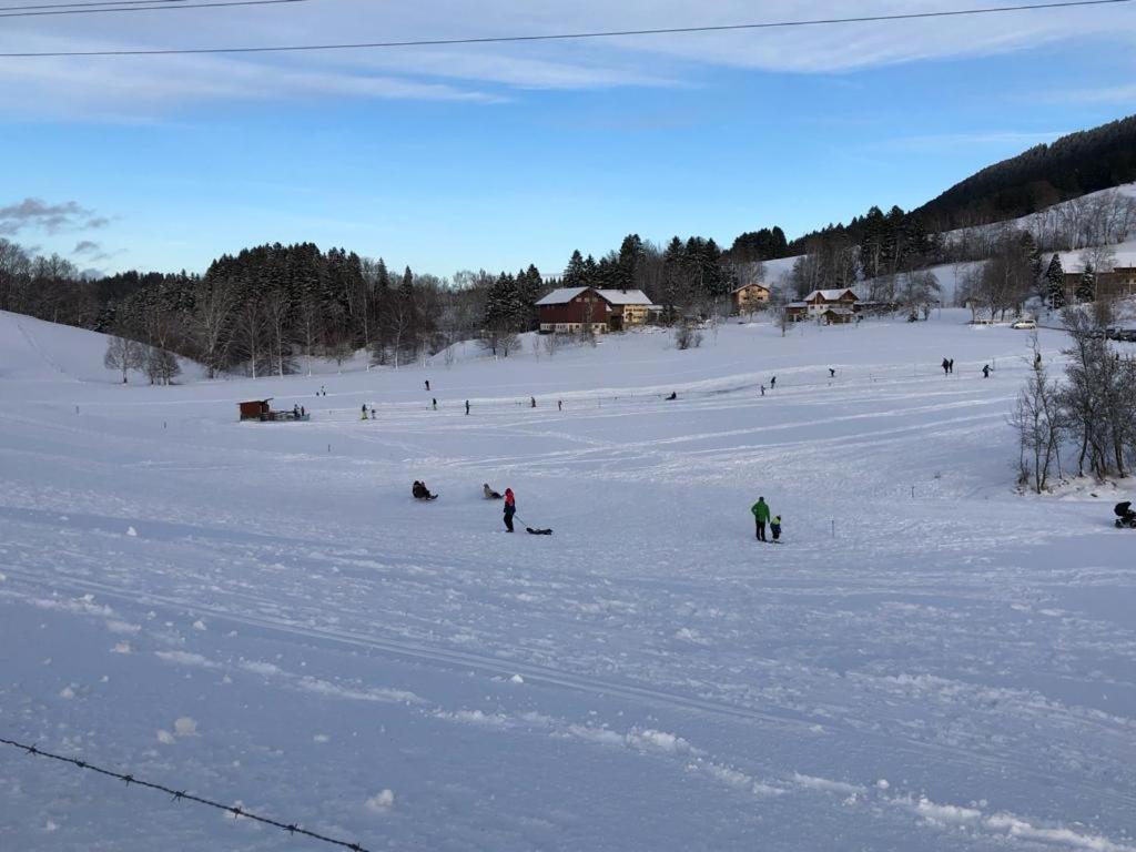 Ferienwohnung Aigisblick Mit Pool Und Sauna, Direkt Am Skihang Мисен-Вилхамс Екстериор снимка