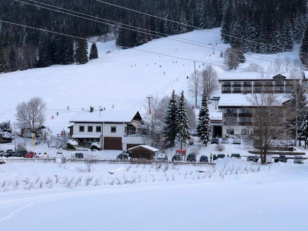 Ferienwohnung Aigisblick Mit Pool Und Sauna, Direkt Am Skihang Мисен-Вилхамс Екстериор снимка