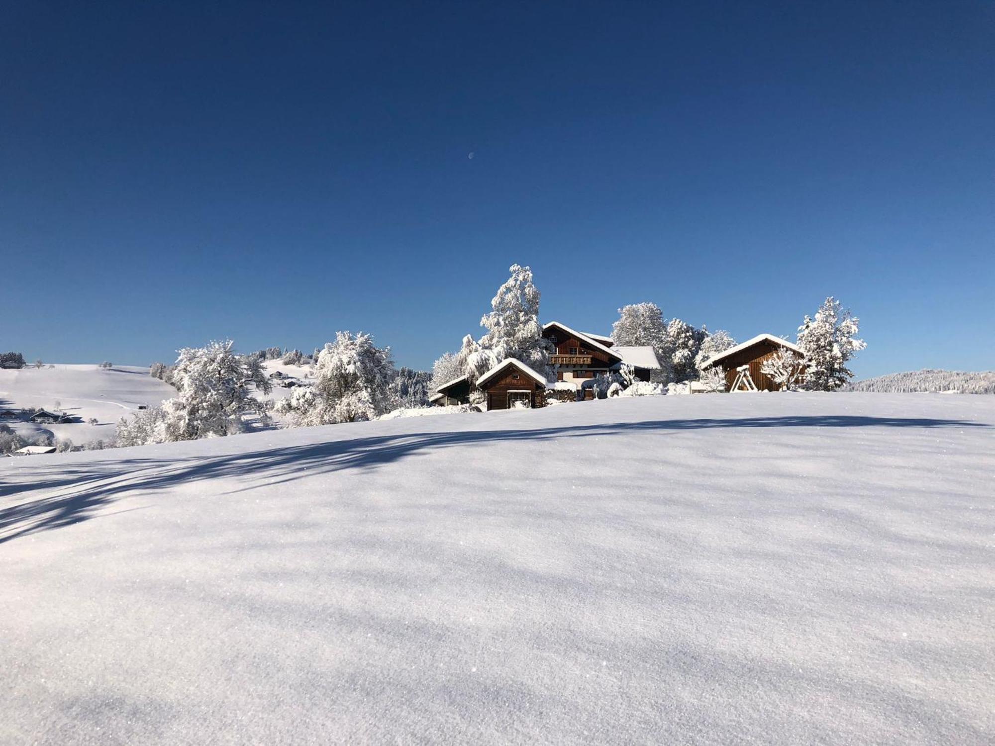 Ferienwohnung Aigisblick Mit Pool Und Sauna, Direkt Am Skihang Мисен-Вилхамс Екстериор снимка